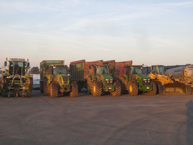 Maisernte 2010 für die Biogasanlage – Bild 1