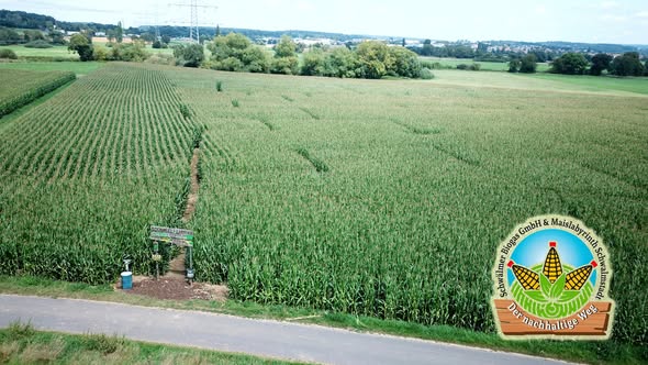 Maislabyrinth Schwalm statt Safari 2024